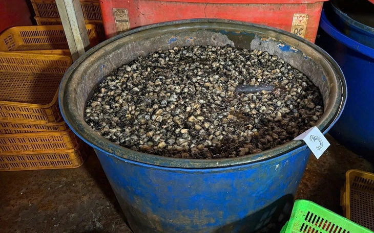 Để người tiêu dùng có thực phẩm sạch - Ảnh 3.