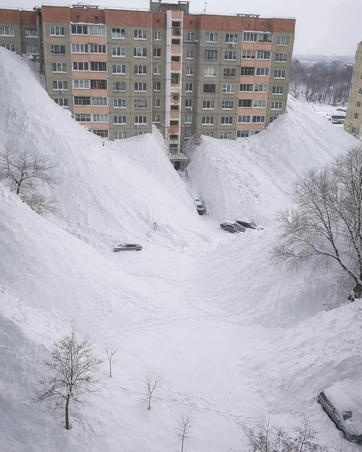 bão tuyết - Ảnh 3.