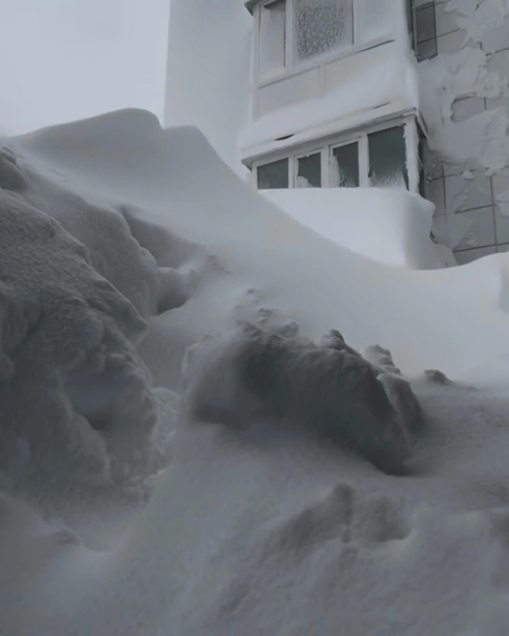 bão tuyết - Ảnh 4.