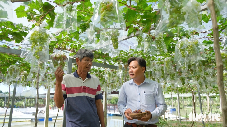 Du lịch cộng đồng gắn với phát huy giá trị lịch sử địa phương - Ảnh 3.