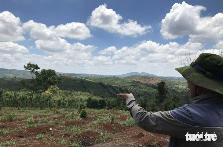 6 cựu chiến binh bị truy tố 'hủy hoại rừng' tiếp tục kêu oan tại phiên tòa sơ thẩm lần 3 - Ảnh 3.