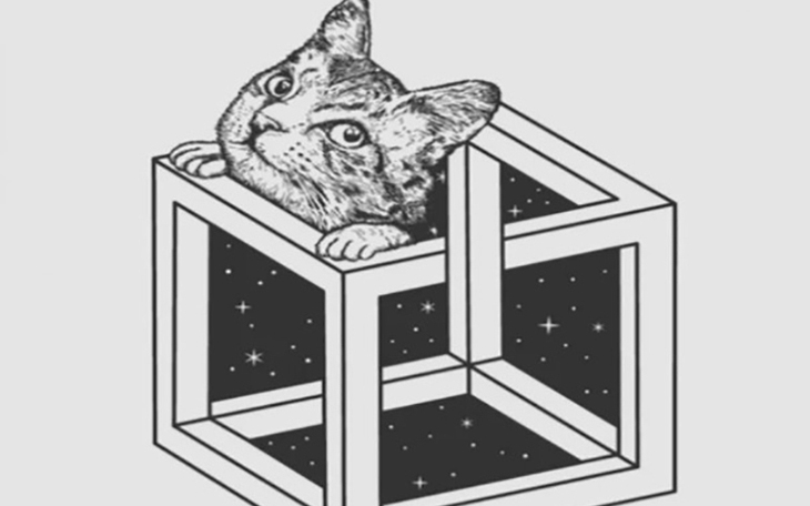 Quiz: Bạn có thuộc tuýp người dễ đạt được thành công sớm? - Ảnh 2.