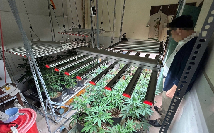 Mở shop bán quần áo trên Facebook làm bình phong cầm đầu đường dây buôn bán 20kg cần sa - Ảnh 2.