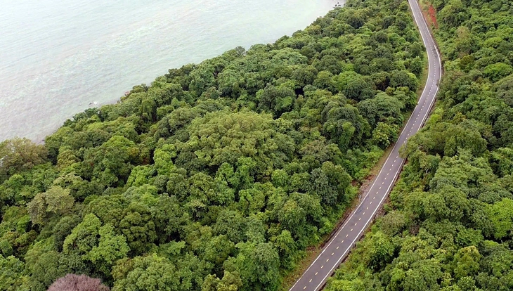 Côn Đảo - Ảnh 1.