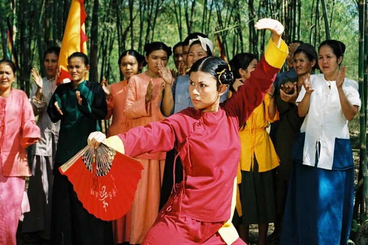 Lục Vân Tiên - Ảnh 4.