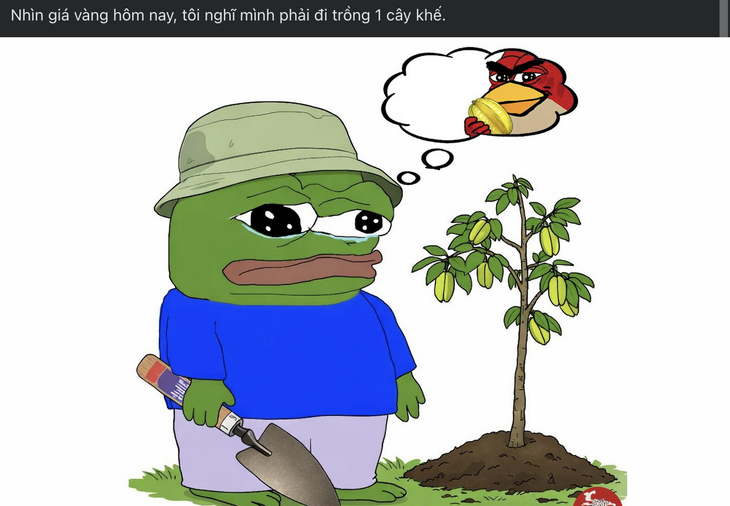 trồng khế - Ảnh 2.