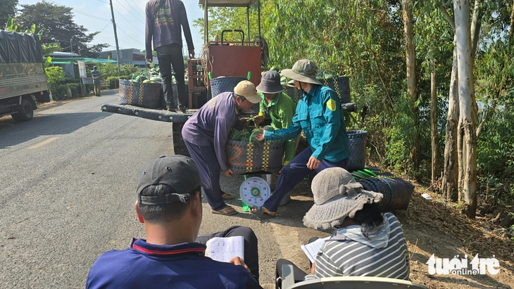 giá dưa hấu - Ảnh 2.