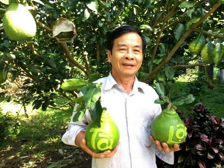 nhà vườn - Ảnh 1.