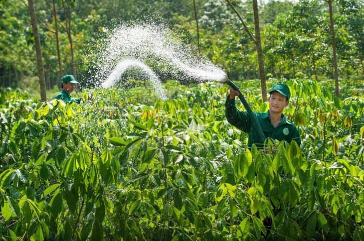 công nghiệp - Ảnh 4.