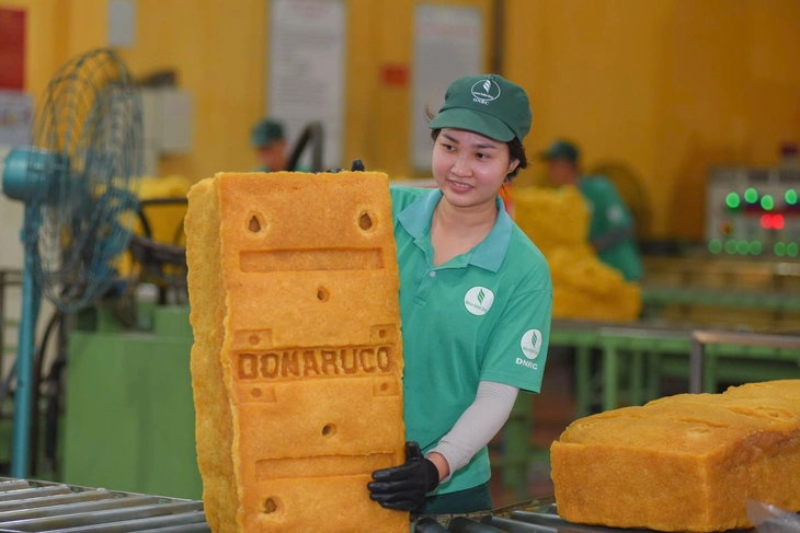 công nghiệp - Ảnh 6.