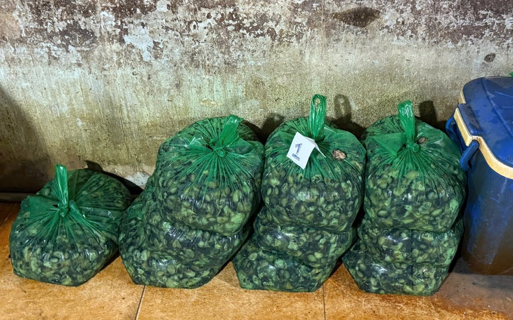 Vụ 3.000 tấn thịt ốc tẩm hóa chất: Vì sao cơ sở tồn tại trong nhiều năm? - Ảnh 2.