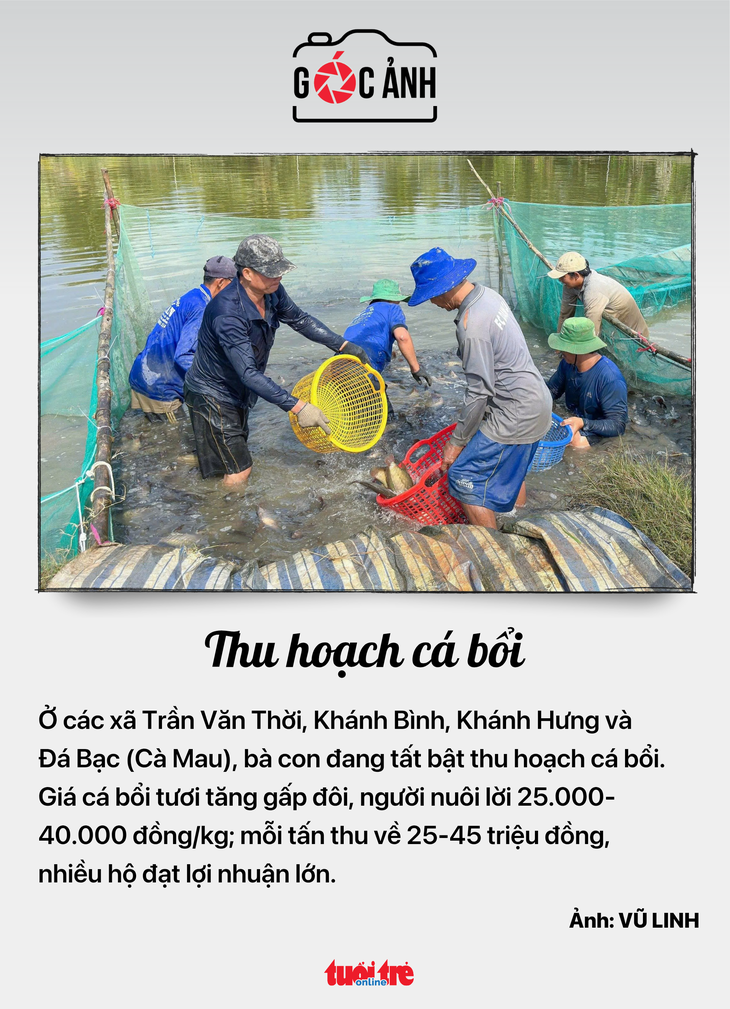 tin tức - Ảnh 6.