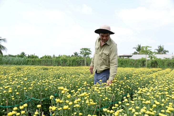 tin tức - Ảnh 2.