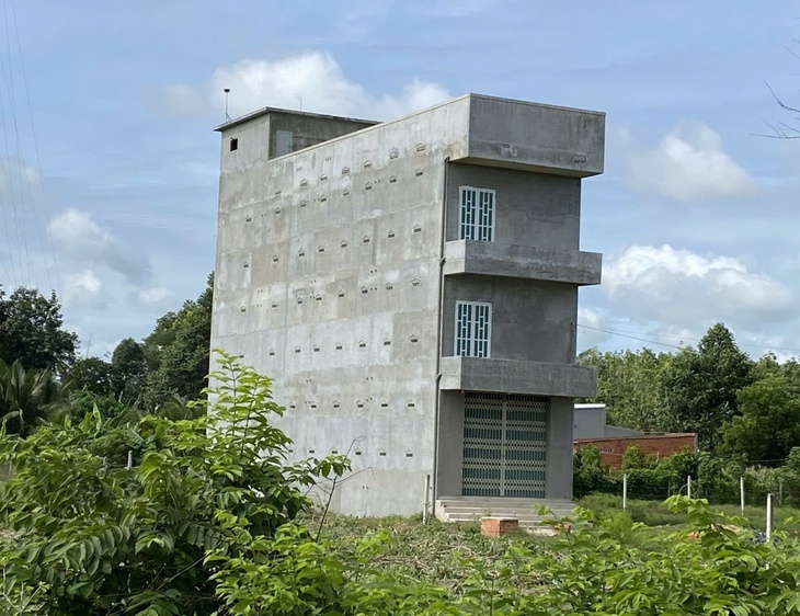 Cần Giờ - Ảnh 2.