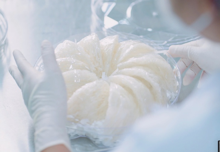 Cần Giờ - Ảnh 1.