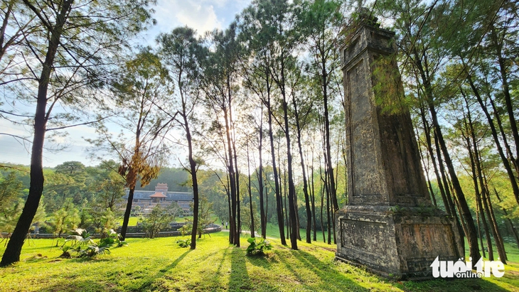 TỪ DỤ - Ảnh 6.