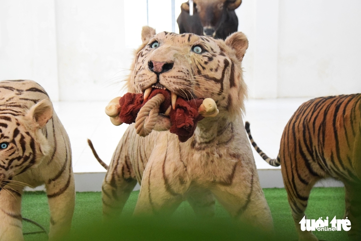 Ngộ Không - Ảnh 1.