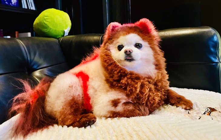 Hà Phương - Ảnh 2.