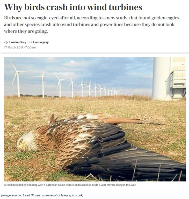 Tổng thống Trump - Ảnh 2.