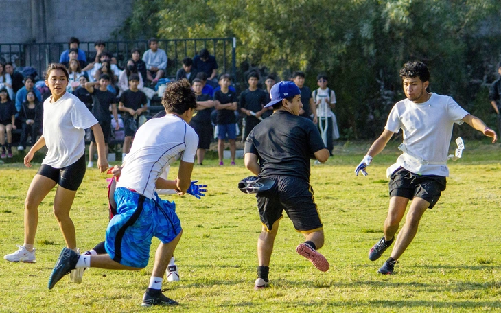 Các học viện New Zealand cấp học bổng đến 35% cho sinh viên Việt Nam - Ảnh 2.