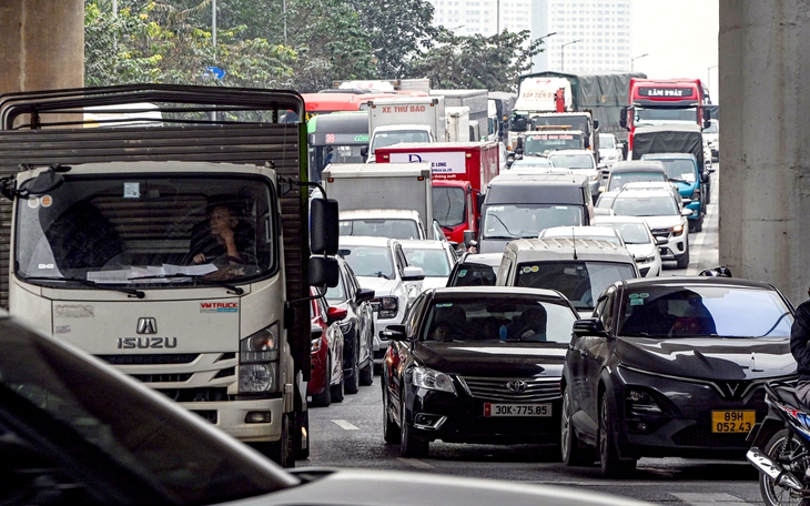 Ô tô tải chở cây cảnh 'khủng' và người trên thùng, chủ xe bị phạt 39 triệu  - Ảnh 3.