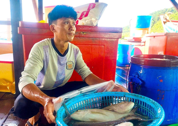 Quà Tết với sản phẩm OCOP "sức khỏe" - Ảnh 3.