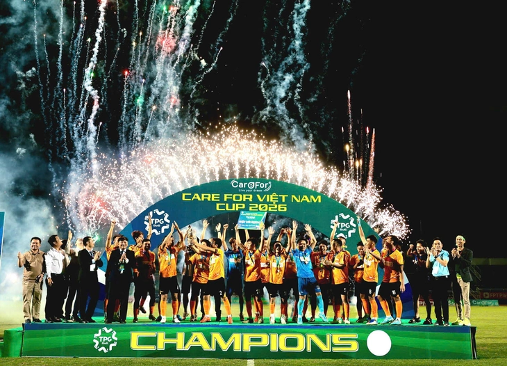 care for vietnam - Ảnh 1.