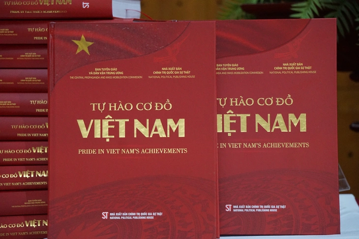 Tự hào cơ đồ Việt Nam - Ảnh 2.