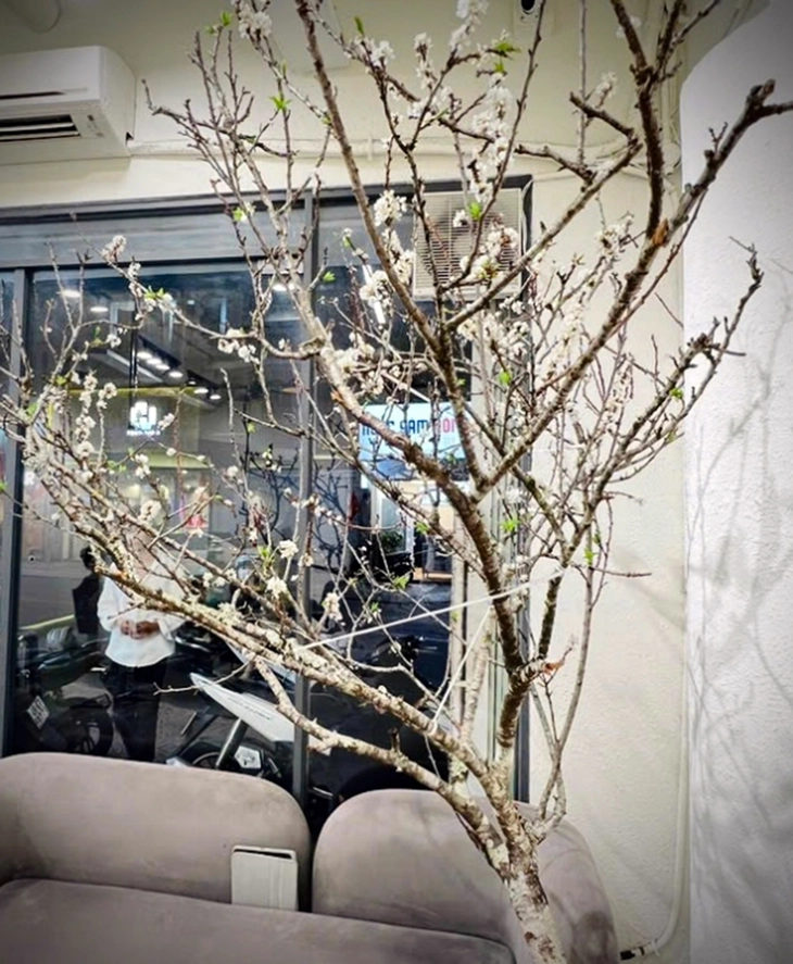 đặc sản - Ảnh 2.