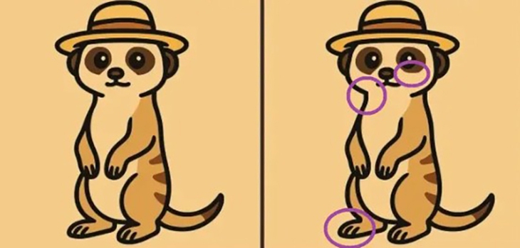 thằn lằn - Ảnh 6.