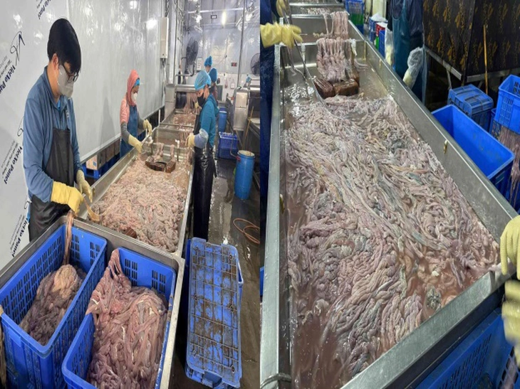 Phát hiện cơ sở trữ, chế biến hàng chục tấn lòng heo không rõ nguồn gốc ở Hà Nội - Ảnh 3.