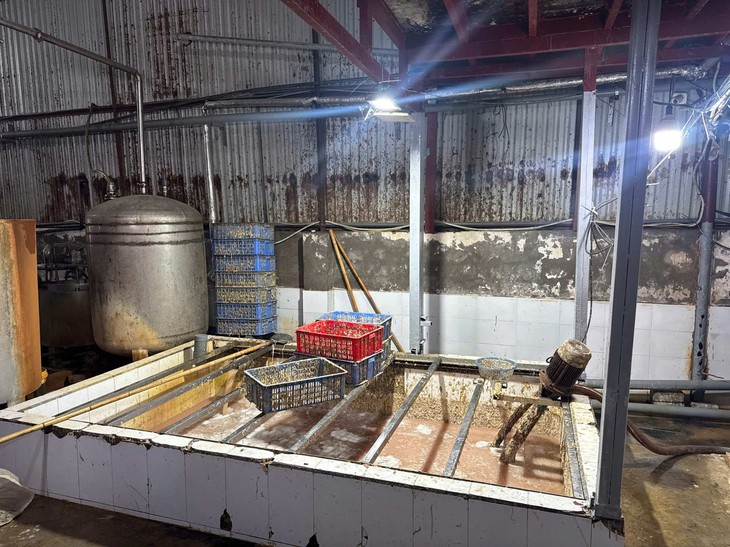 Phát hiện cơ sở trữ, chế biến hàng chục tấn lòng heo không rõ nguồn gốc ở Hà Nội - Ảnh 6.