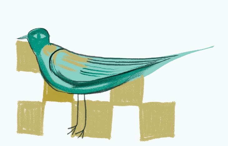 Nguyễn Ngọc Thuần - Ảnh 2.