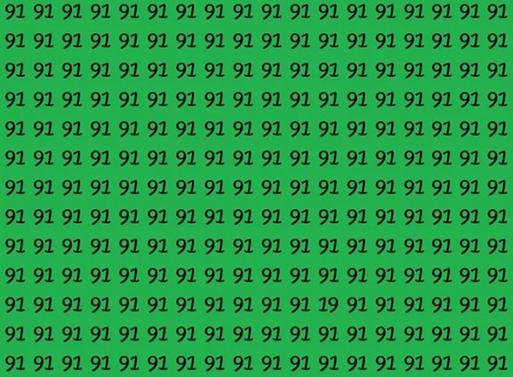 thằn lằn - Ảnh 3.