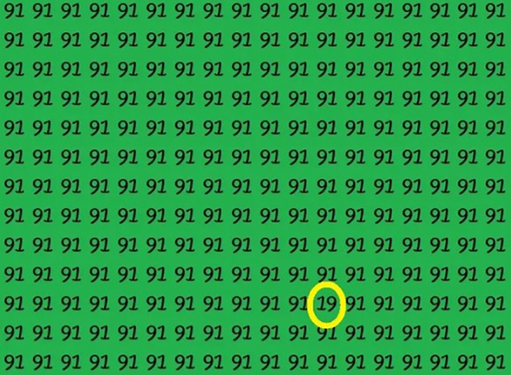 thằn lằn - Ảnh 4.