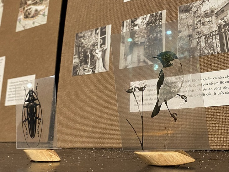 đô thị - Ảnh 3.