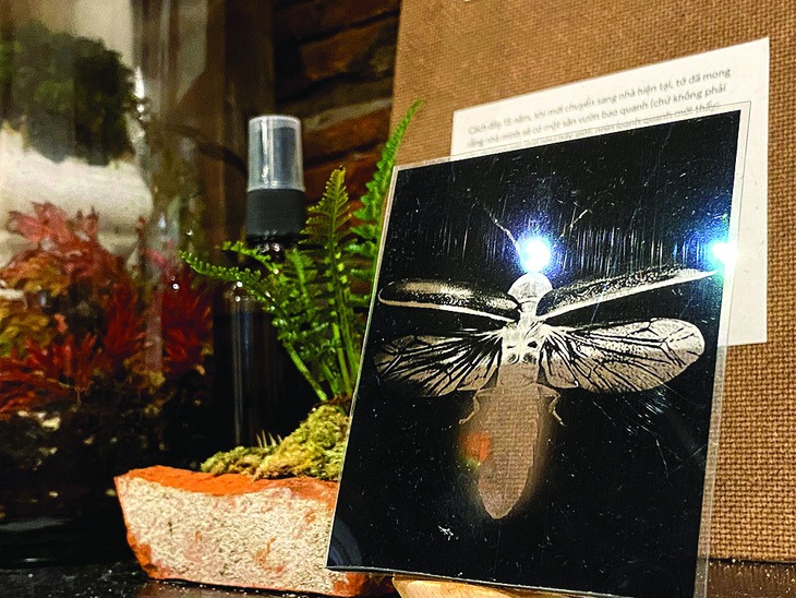 đô thị - Ảnh 2.