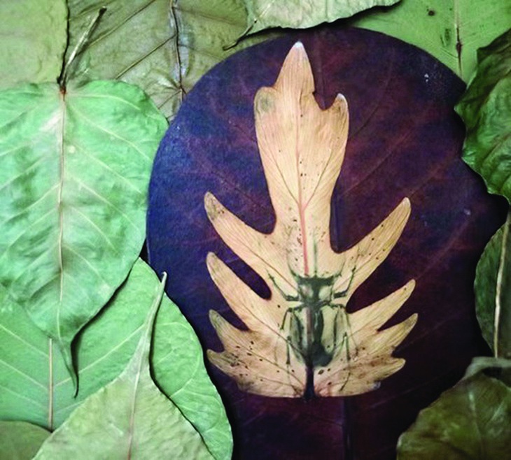 đô thị - Ảnh 4.