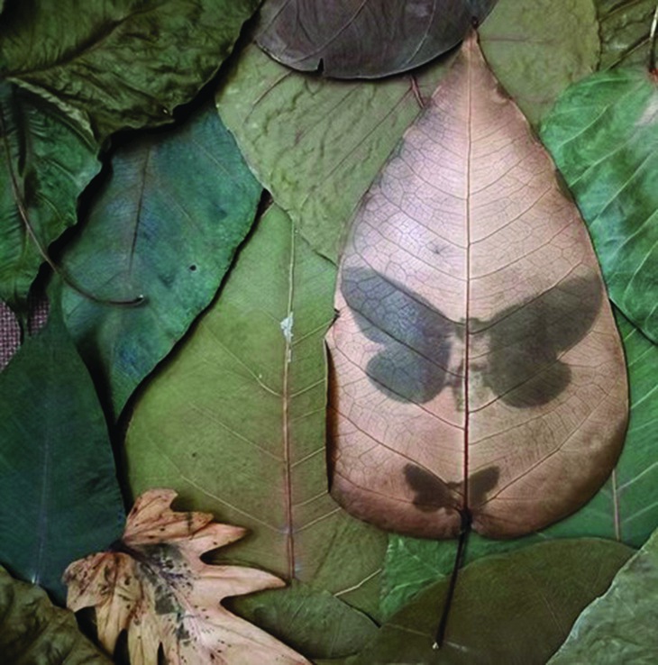 đô thị - Ảnh 1.