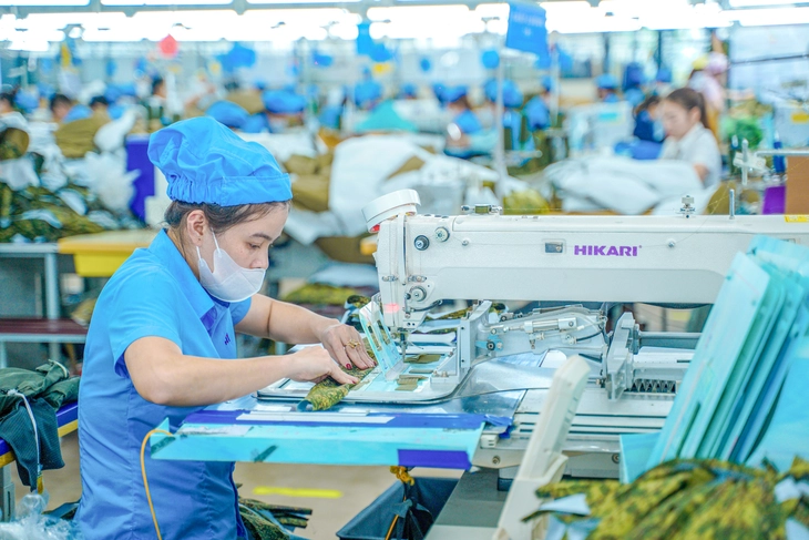 dệt may - Ảnh 1.