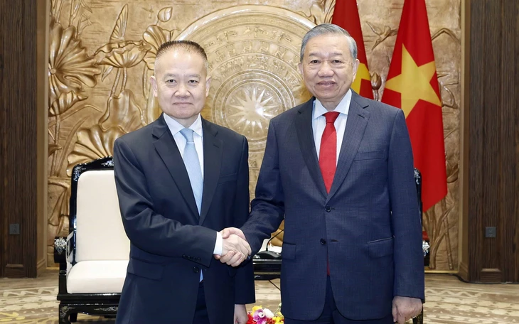 Bộ trưởng Ngoại giao Lê Hoài Trung hội đàm với đặc phái viên Trung Quốc - Ảnh 3.