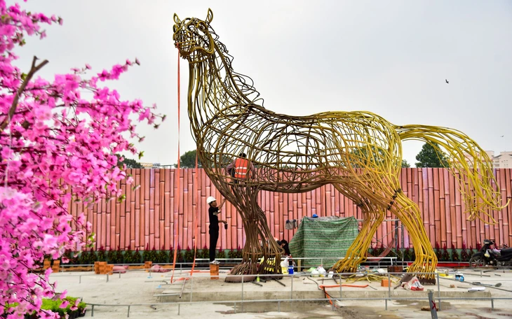 Đường hoàng mai thắm sắc xuân - Ảnh 9.