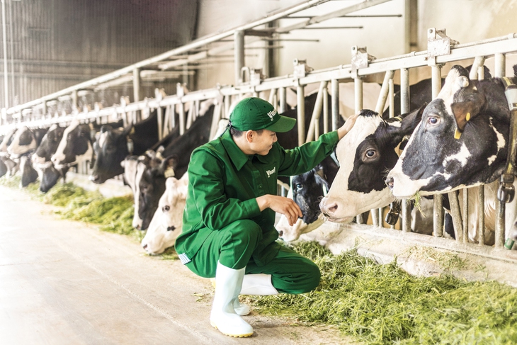 50 năm Vinamilk vươn lên cùng đất nước - Ảnh 2.