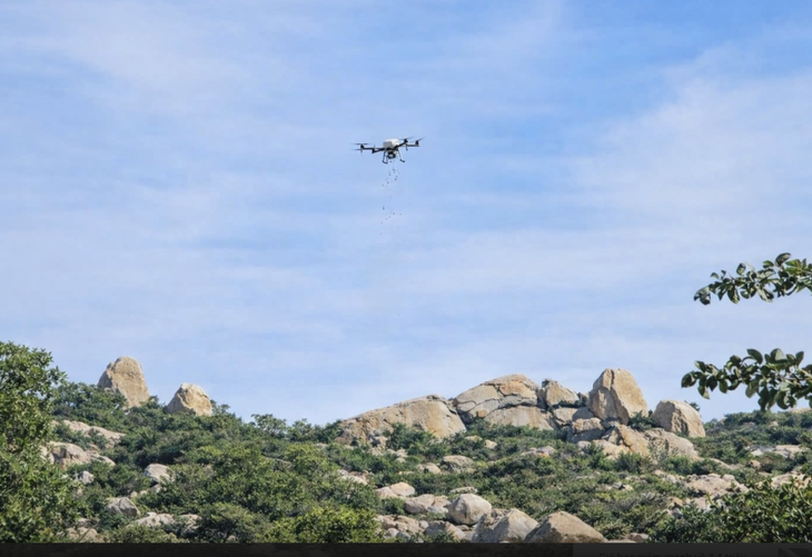 cây xanh - Ảnh 2.