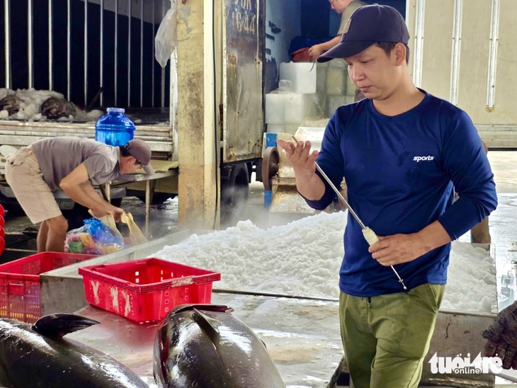 cá ngừ - Ảnh 7.