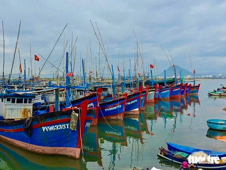 cá ngừ - Ảnh 9.