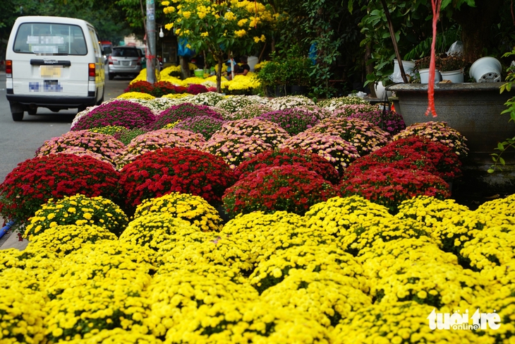 Chợ hoa - Ảnh 6.