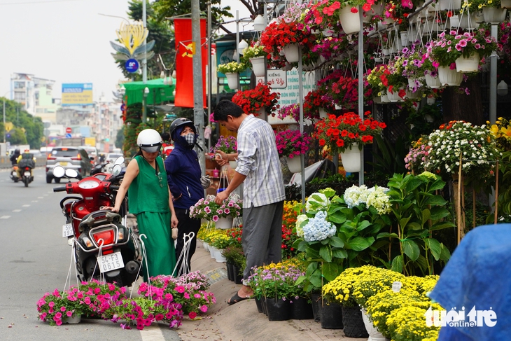 Hoa Tết nở sớm, nhiều điểm bán lẻ đã 'họp chợ' giữa tháng chạp - Ảnh 6.
