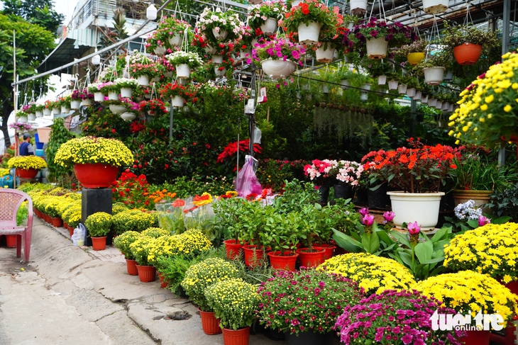 Hoa Tết nở sớm, nhiều điểm bán lẻ đã 'họp chợ' giữa tháng chạp - Ảnh 5.