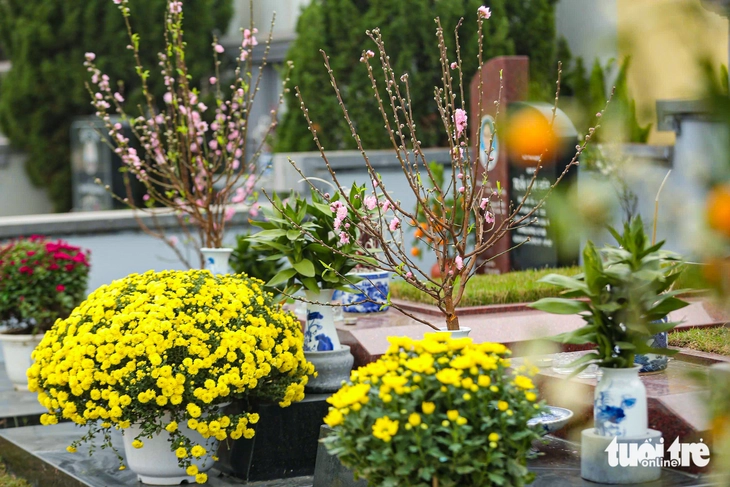 tảo mộ - Ảnh 3.